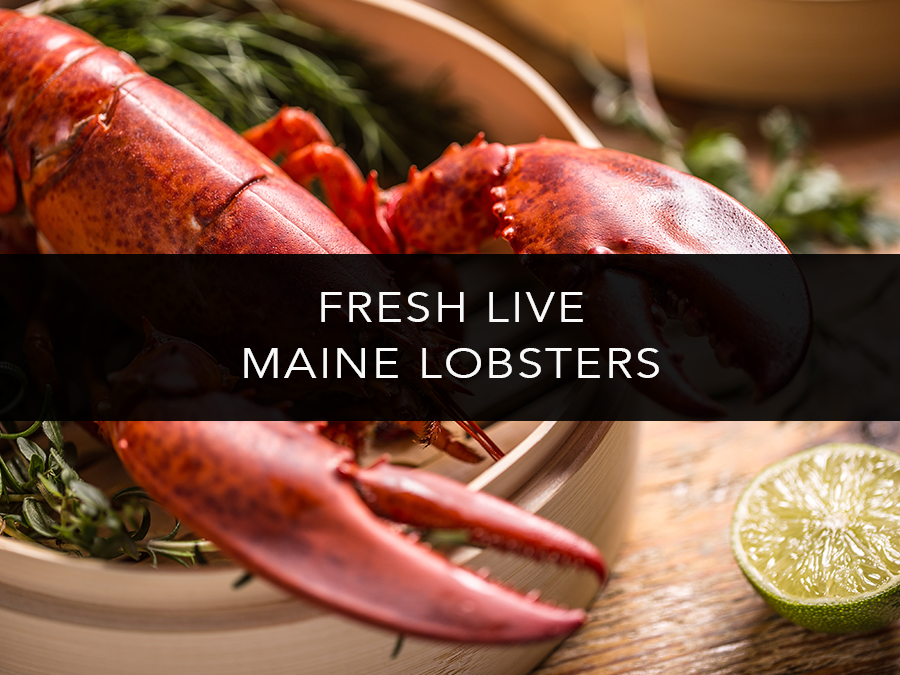 Lobsters Online Owned & Operated by the Lobster Trap Co, Inc.