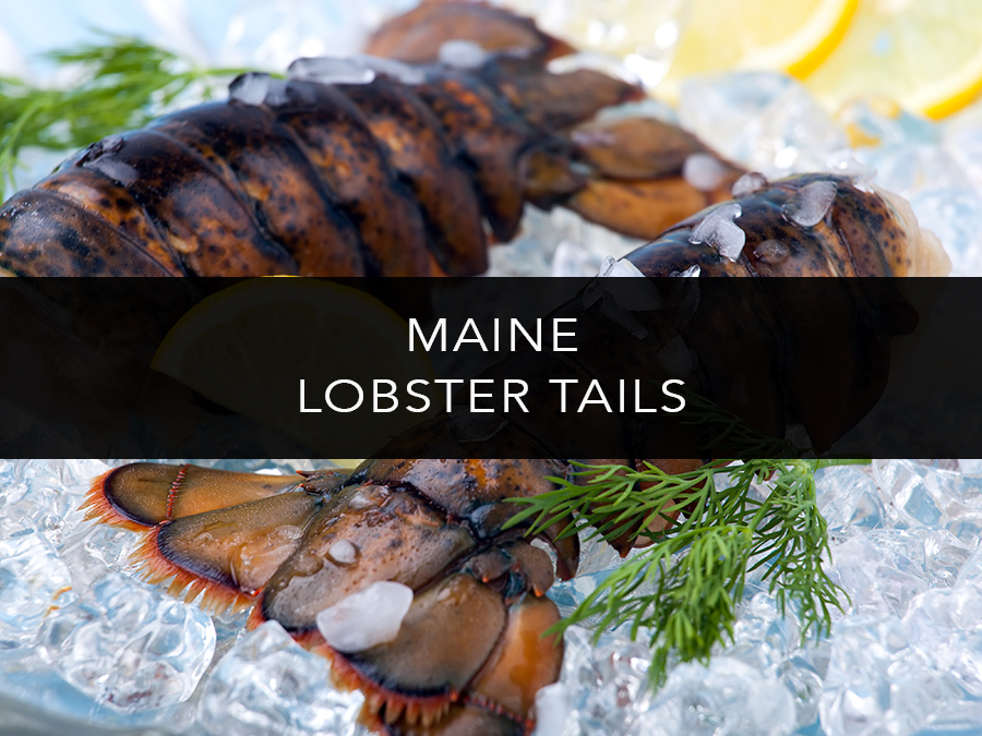 Lobsters Online Owned & Operated by the Lobster Trap Co, Inc.