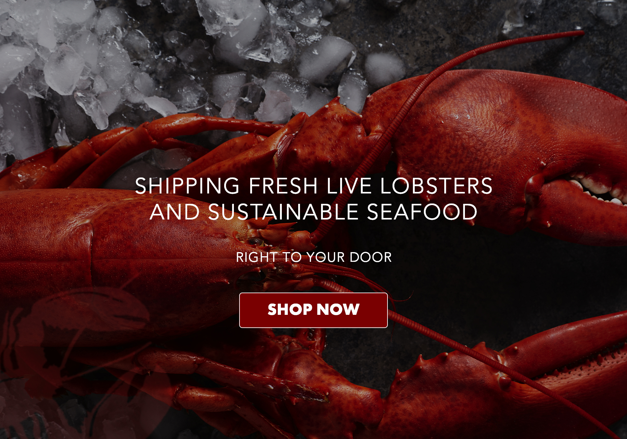Lobsters Online Owned & Operated by the Lobster Trap Co, Inc.