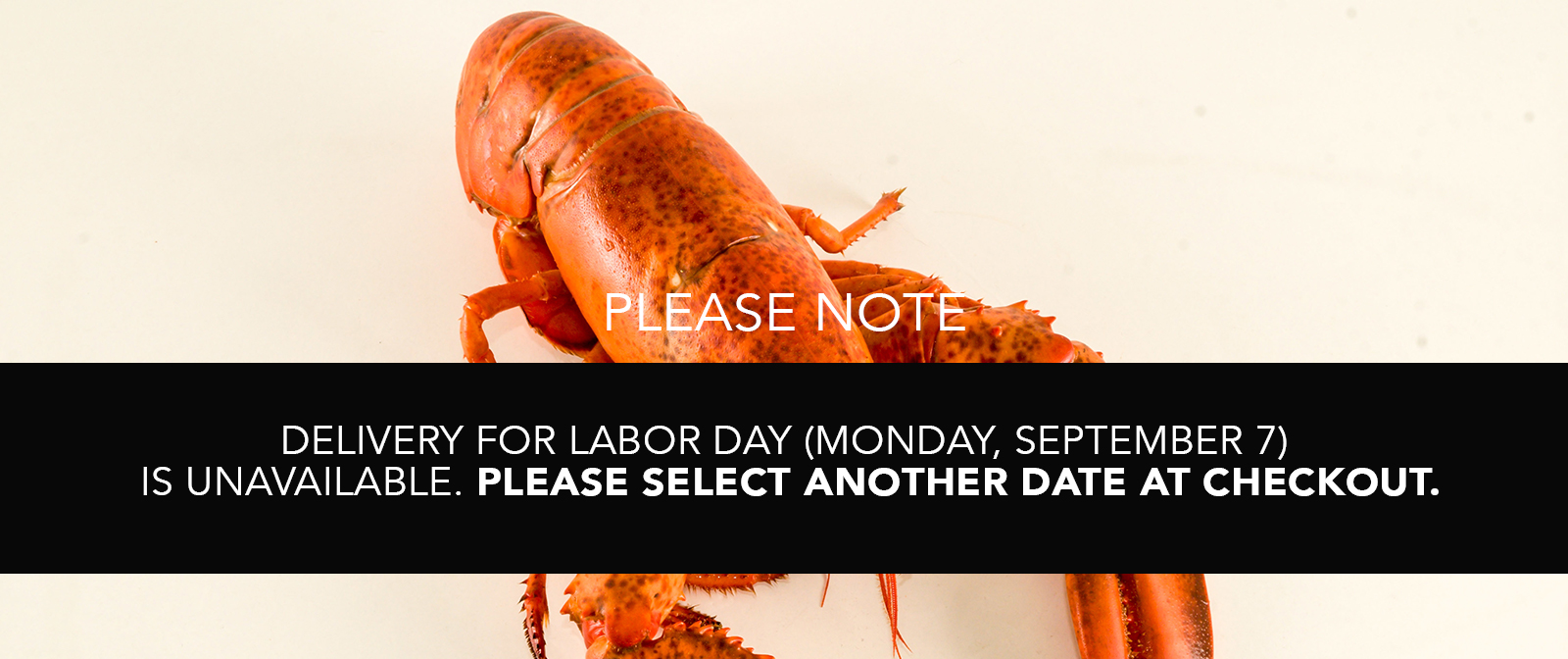 Lobsters Online Owned & Operated by the Lobster Trap Co, Inc.