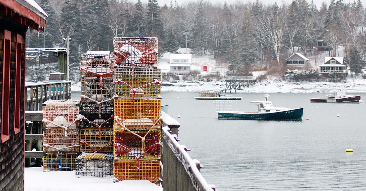 Boats in Harbor