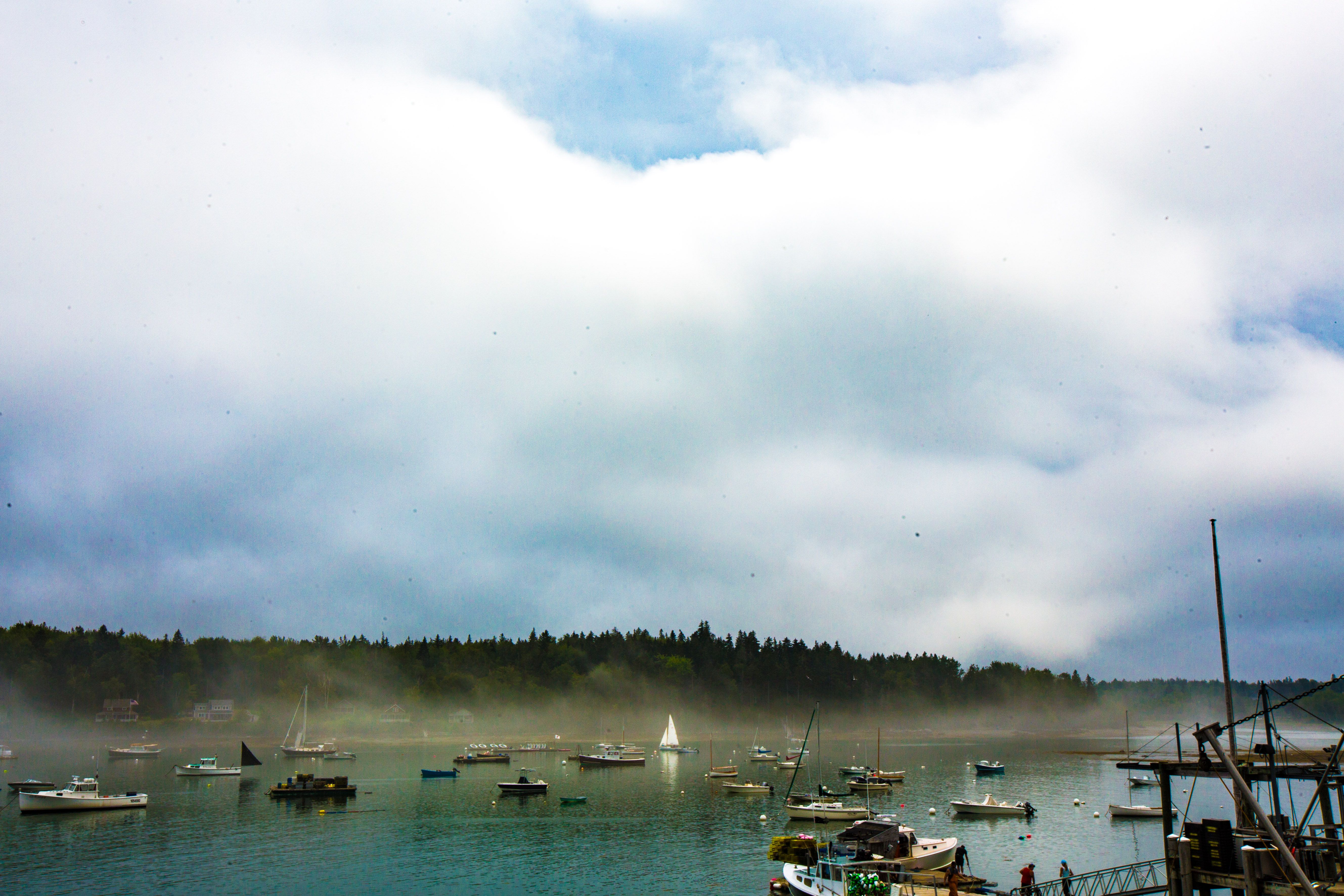 Fishing in the Fog