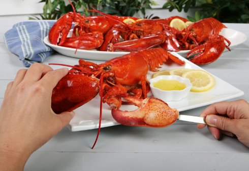 Buy 1.5 lbs. Fresh Maine Lobster | Lobster Trap: Live Lobster Online